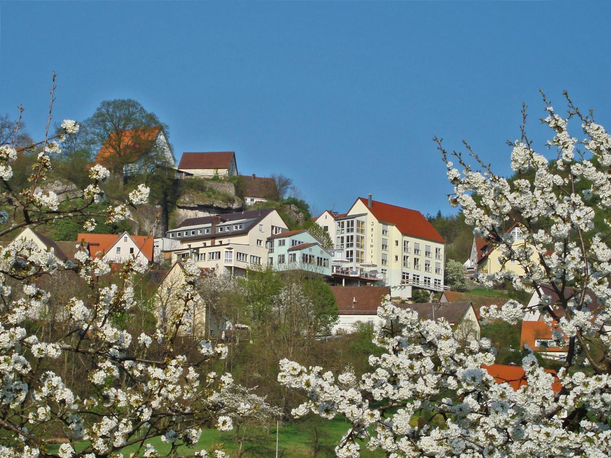 Berggasthof Hotel Igelwirt Schnaittach Buitenkant foto